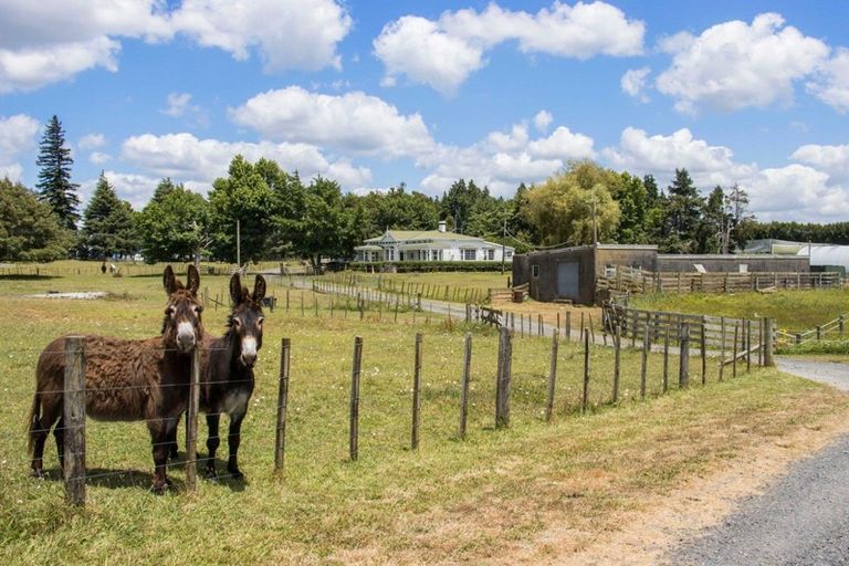 Photo of property in 9752 State Highway 2, Waihi, 3681