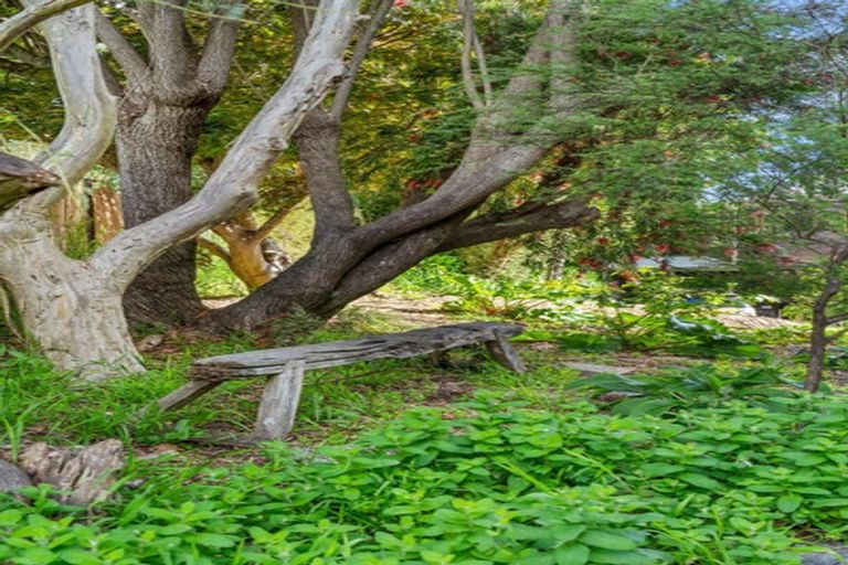 Photo of property in 59 Merivale Road, Parkvale, Tauranga, 3112