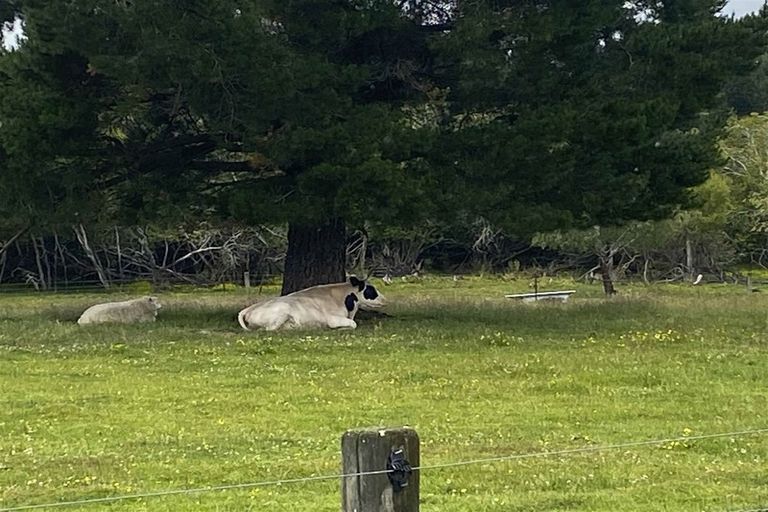 Photo of property in 19 York Street, Ohai, 9635