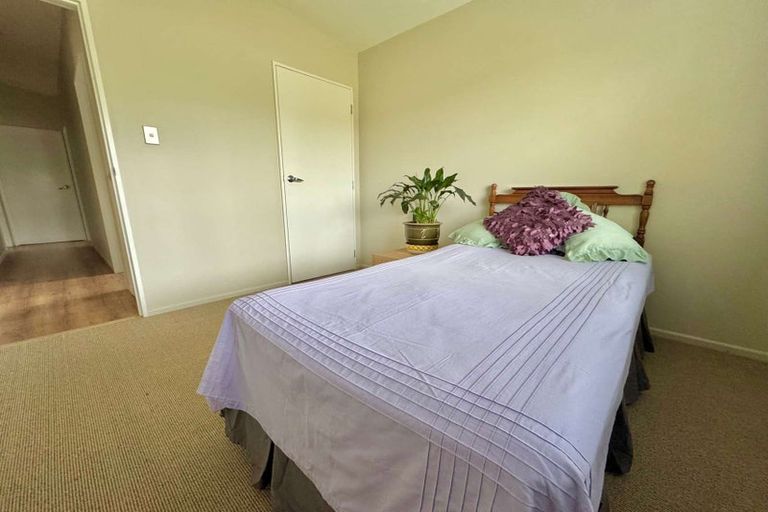 Photo of property in 29 Brook Street, Southbridge, 7602