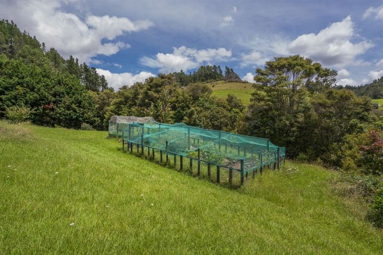 Photo of property in 49 Red Bridge Road, Pukepoto, Hikuai, 3579