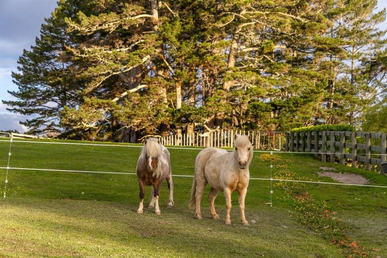 Photo of property in 90 Mcentee Road, Waitakere, Auckland, 0816