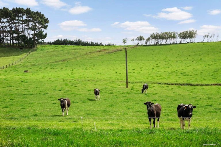 Photo of property in 172 Manukau Heads Road, Awhitu, 2684