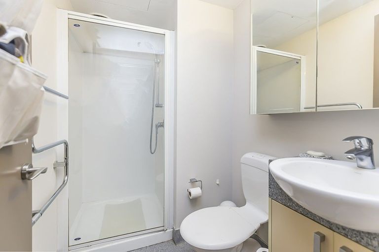 Photo of property in Dual Apartments, 306/142 Vivian Street, Te Aro, Wellington, 6011