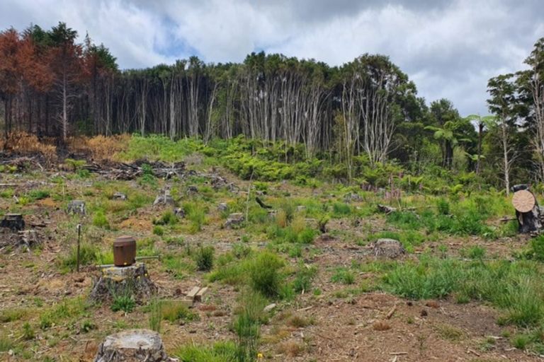 Photo of property in 574 Honeymoon Valley Road, Peria, Kaitaia, 0482