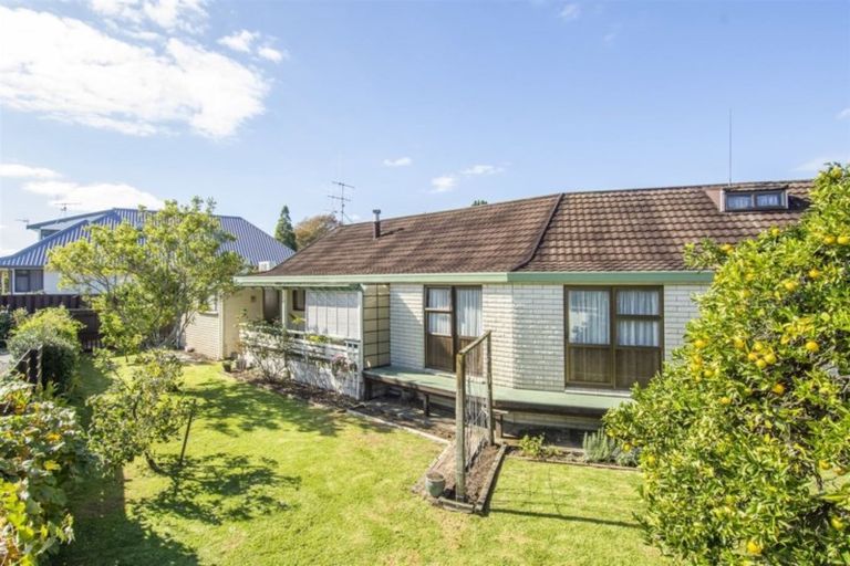 Photo of property in 53 Kings Avenue, Matua, Tauranga, 3110
