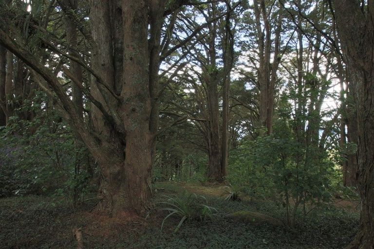 Photo of property in 186 Horeke Road, Okaihau, 0475