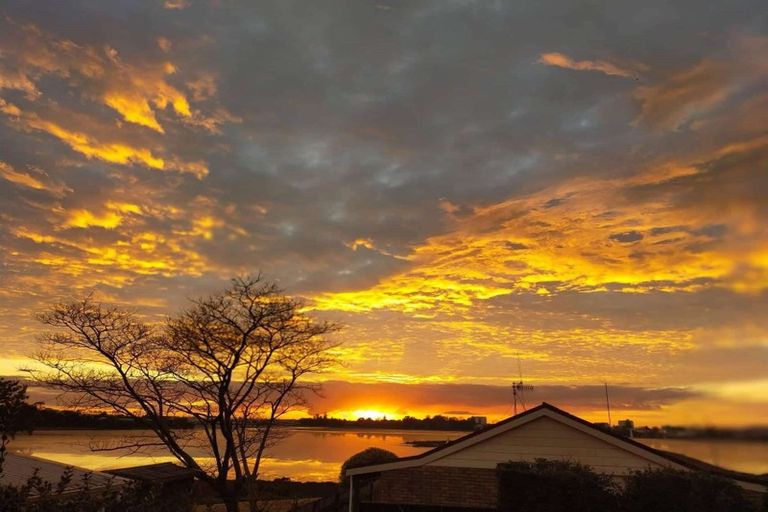 Photo of property in 157 Kingswood Road, Brookfield, Tauranga, 3110