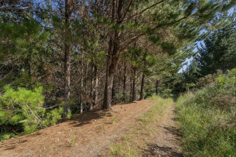 Photo of property in 425d Boat Harbour Road, Whenuakite, Whitianga, 3591