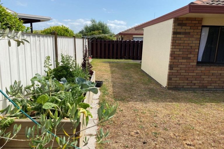 Photo of property in 14b Marwood Place, Mount Maunganui, 3116