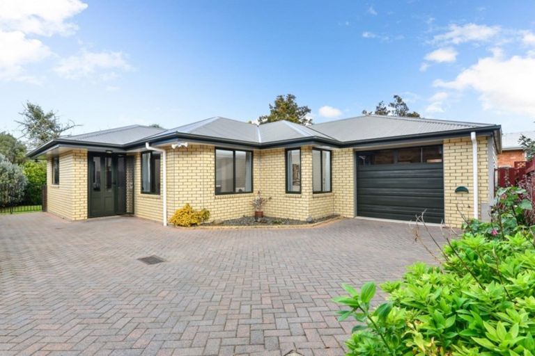 Photo of property in 19 Goodall Street, Dinsdale, Hamilton, 3204