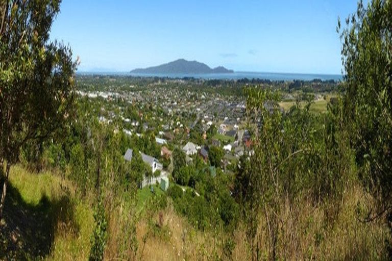 Photo of property in 61a Kotare Street, Waikanae, 5036