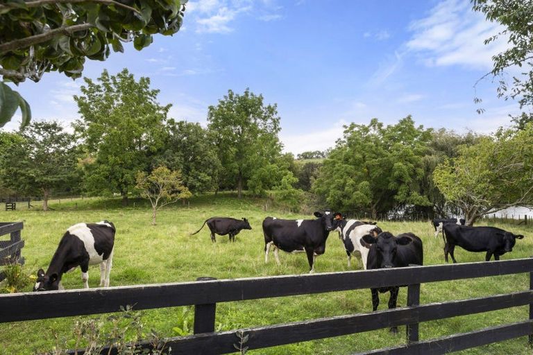 Photo of property in 47 Raynes Road, Rukuhia, Hamilton, 3282