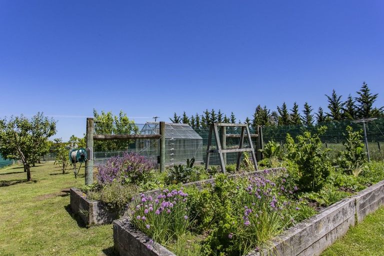 Photo of property in 172 Douds Road, Sefton, Rangiora, 7477