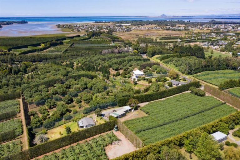 Photo of property in 28 Lindemann Road, Katikati, 3170