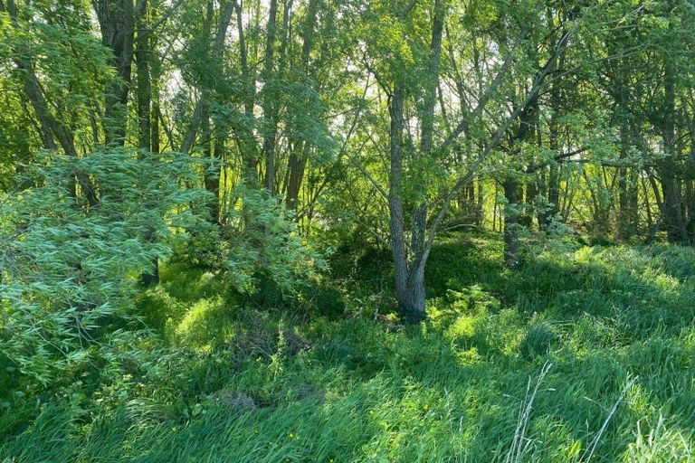 Photo of property in 64 Matahiwi Road, Matahiwi, Masterton, 5888