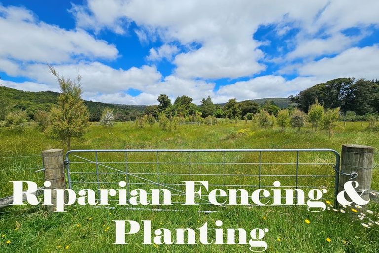 Photo of property in 1296 Wekaweka Road, Waimamaku, Kaikohe, 0473