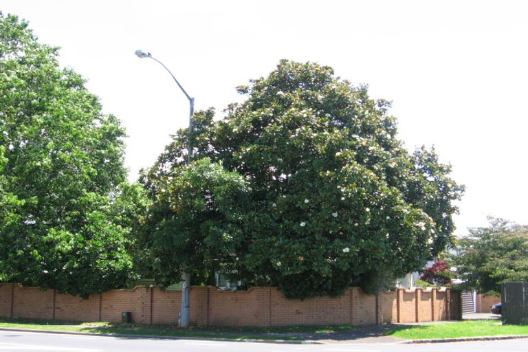 Photo of property in 47 Pah Road, Epsom, Auckland, 1023