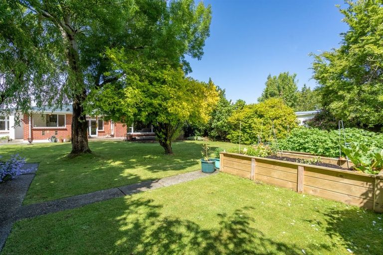 Photo of property in 44 Thurso Street, Waverley, Invercargill, 9810