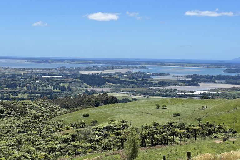 Photo of property in 596 Minden Road, Minden, Tauranga, 3176