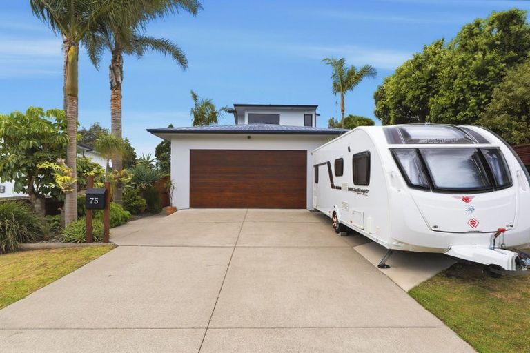 Photo of property in 75 Campbell Road, Mount Maunganui, 3116