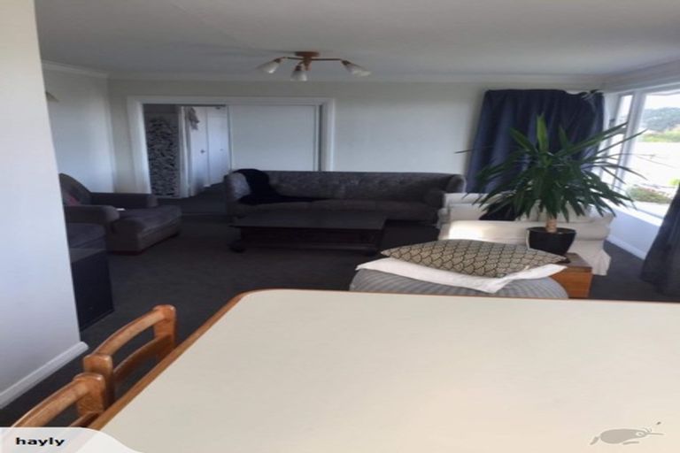 Photo of property in 117 Tauhinu Road, Miramar, Wellington, 6022