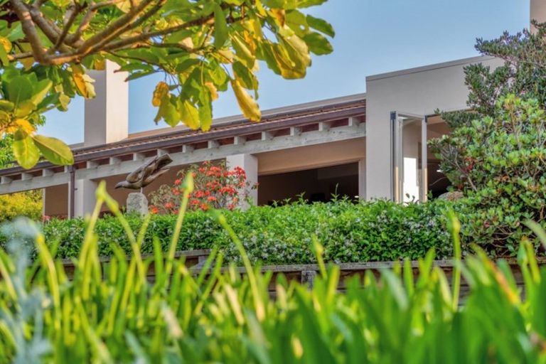 Photo of property in 99 Jess Road, Whakamarama, Tauranga, 3172