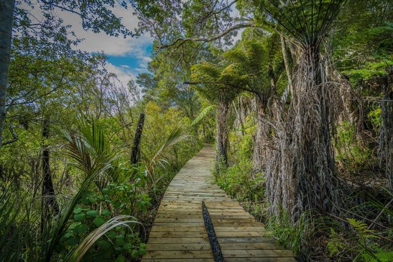 Photo of property in 295 Kopaki Point, Cooks Beach, Whitianga, 3591