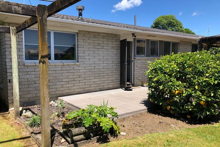 Photo of property in 25b Sillary Street, Hamilton East, Hamilton, 3216