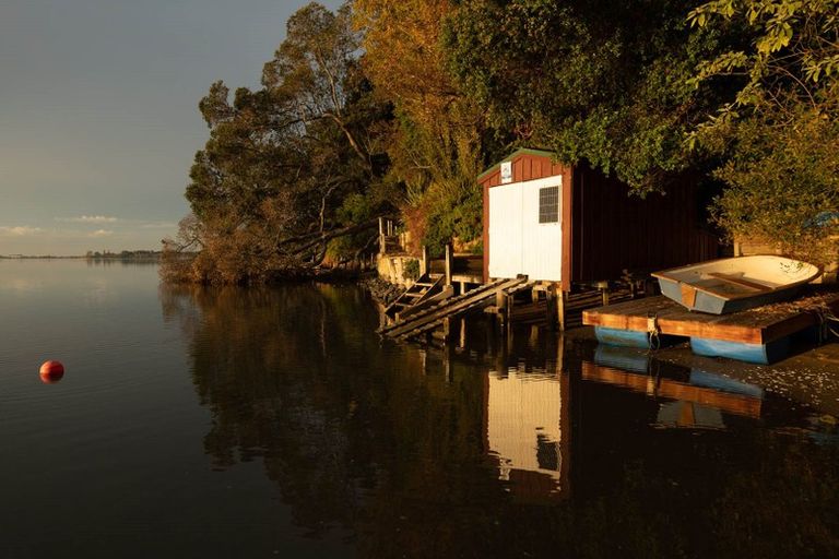 Photo of property in 48 Vine Avenue, Maungatapu, Tauranga, 3112