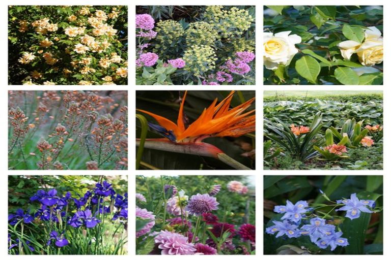 Photo of property in 4 Farndon Road, Clive, 4102