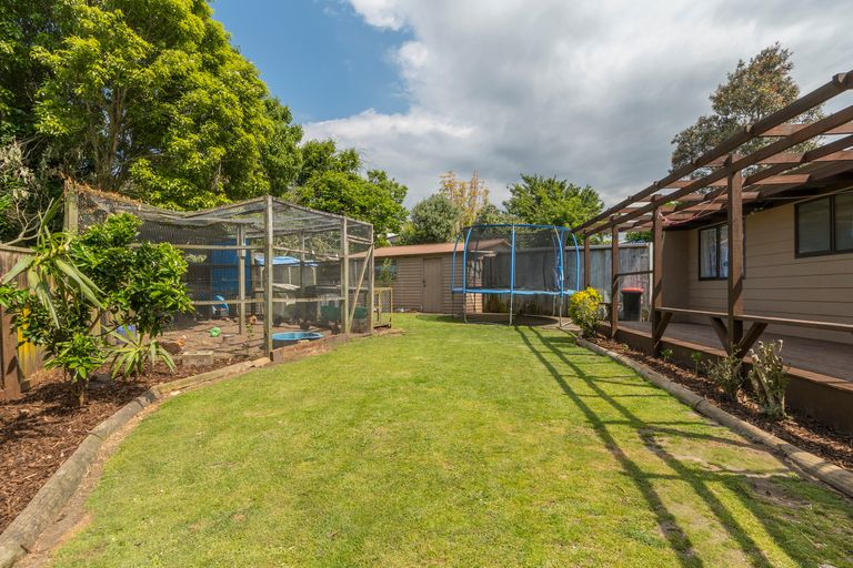 Photo of property in 36 Wylie Street, Gate Pa, Tauranga, 3112