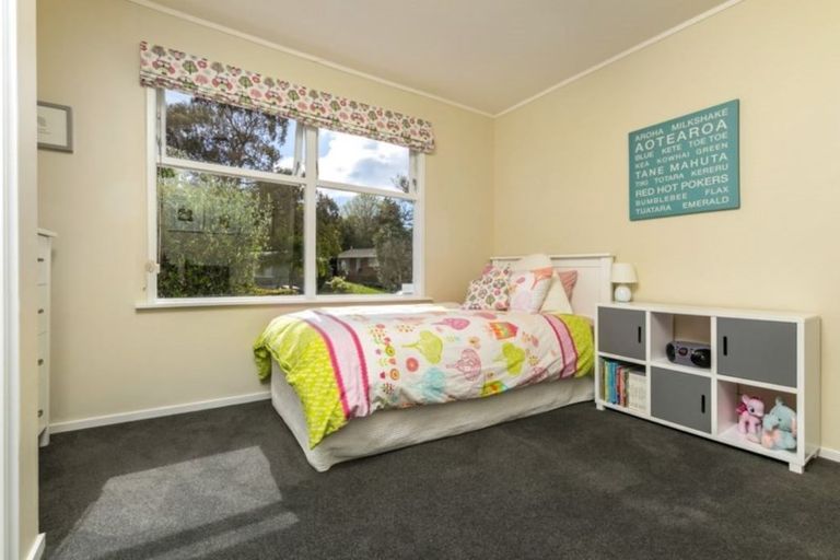 Photo of property in 52 Normanton Street, Glenfield, Auckland, 0629