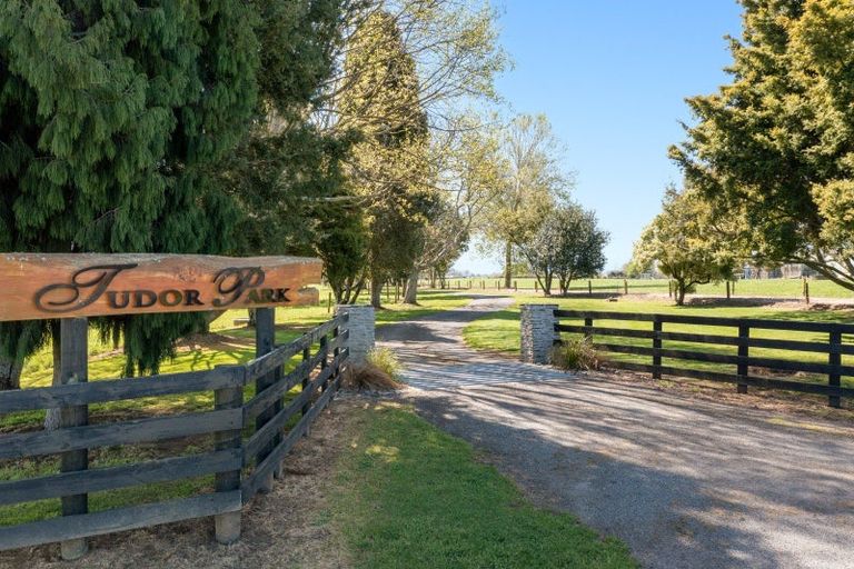 Photo of property in 182 Station Road, Matamata, 3472