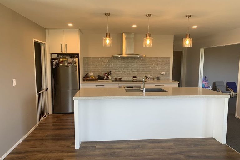 Photo of property in 40 Craig Thompson Drive, Lincoln, 7608