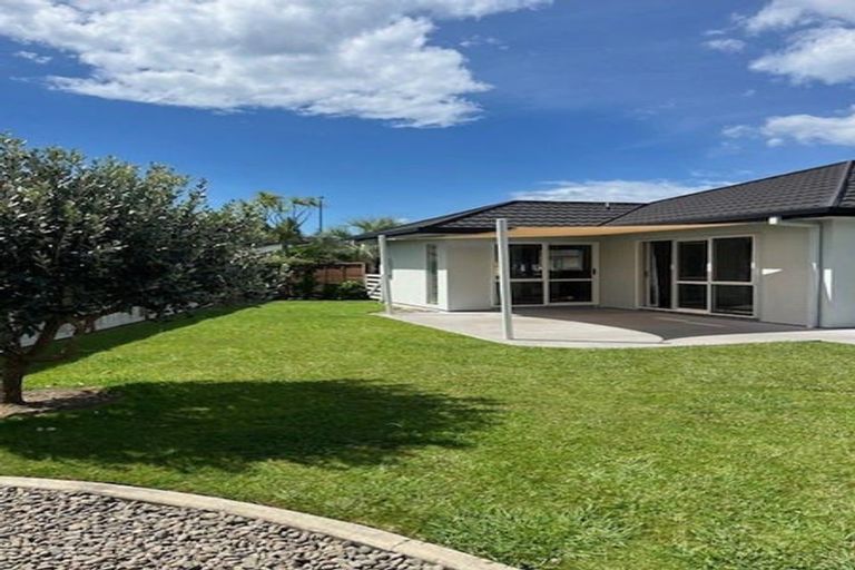 Photo of property in 73 Solomon Street, Brookfield, Tauranga, 3110