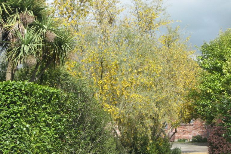 Photo of property in 173 Tuahiwi Road, Tuahiwi, Kaiapoi, 7691