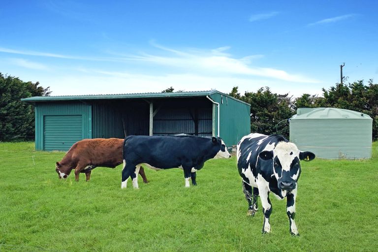 Photo of property in 264 Lodore Road, Okaihau, 0475