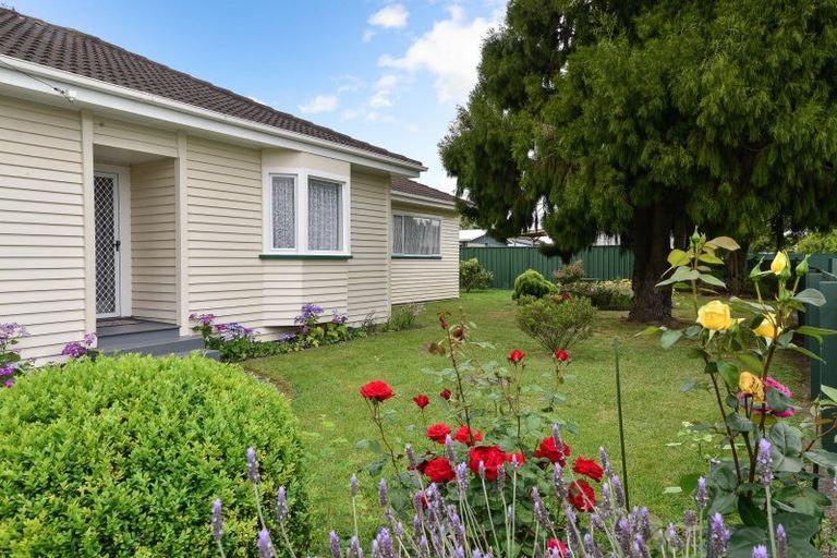 Photo of property in 53 Alfred Street, Fairfield, Hamilton, 3214