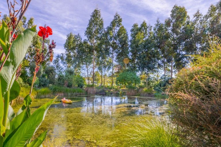 Photo of property in 2b Bibby Street, Waipawa, 4210