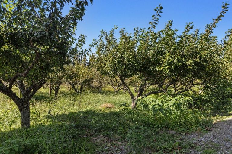 Photo of property in 1b Luxton Road, Awakeri, Whakatane, 3193