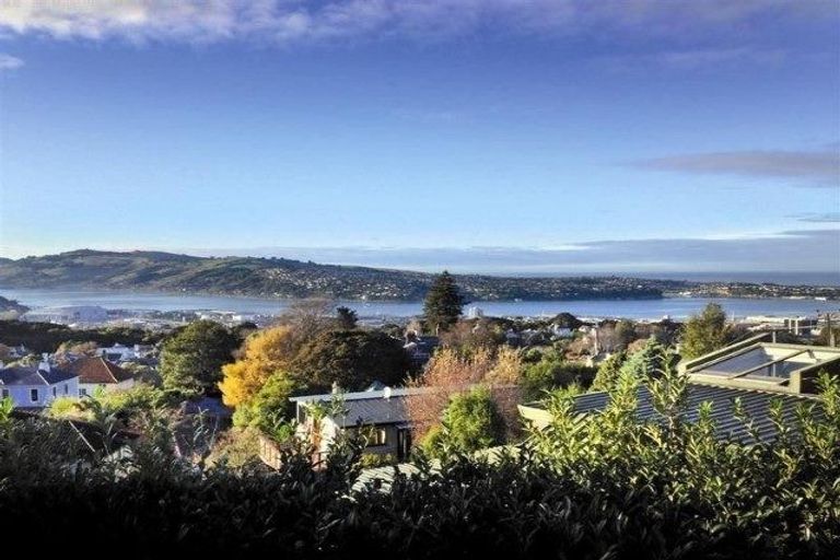 Photo of property in 15 Garfield Avenue, Roslyn, Dunedin, 9010