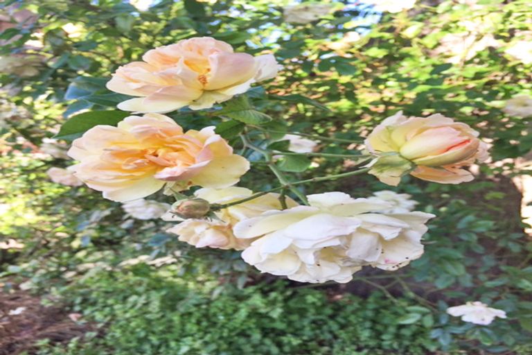 Photo of property in 8 Yare Street, Oamaru, 9400