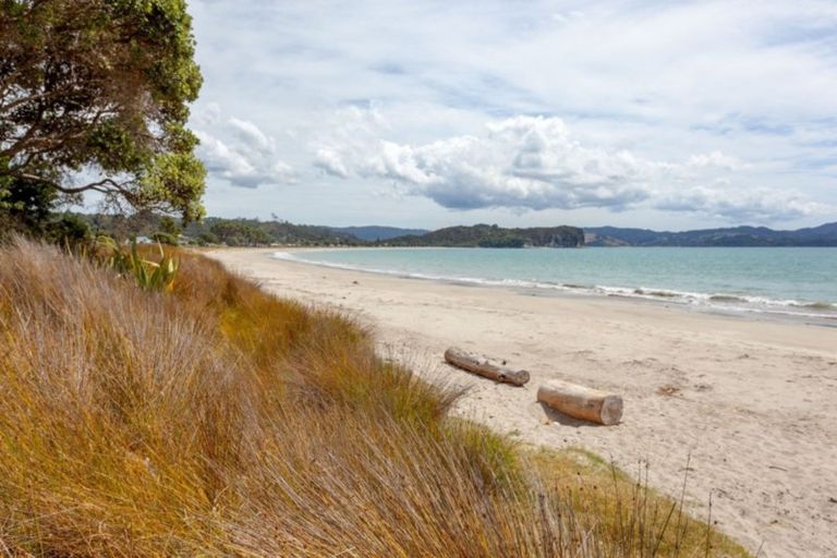 Photo of property in 113 Captain Cook Road, Cooks Beach, Whitianga, 3591