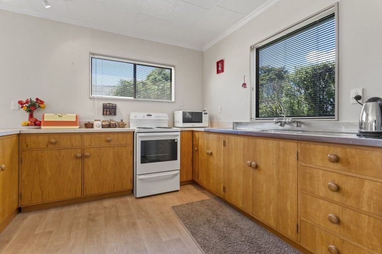 Photo of property in 3/21 Dublin Street, Martinborough, 5711