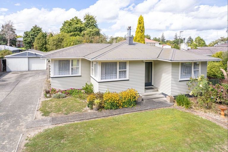 Photo of property in 17 Skerman Street, Marton, 4710