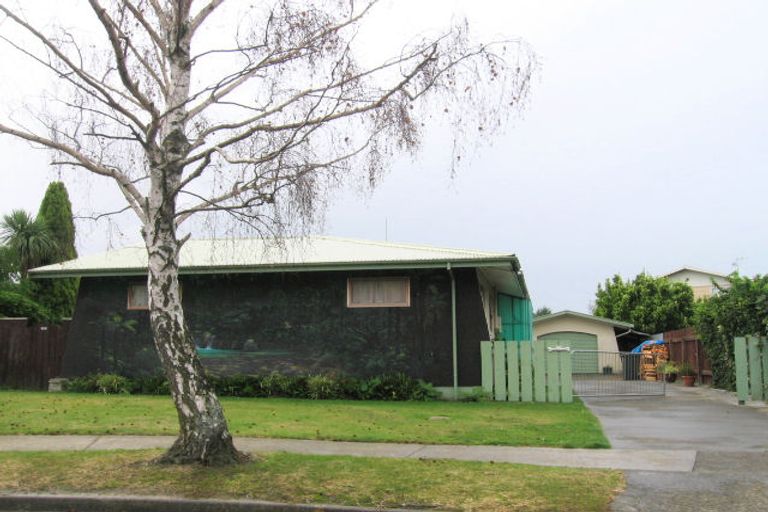 Photo of property in 6 Tyrone Place, Tamatea, Napier, 4112