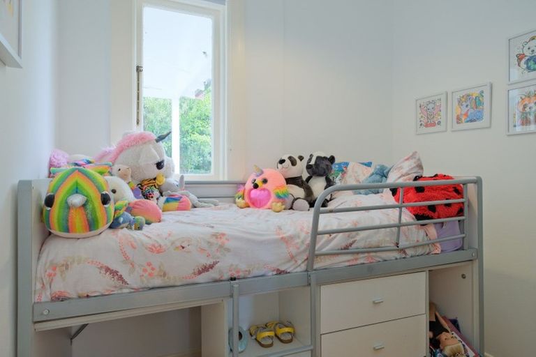 Photo of property in 17 Forfar Street, Clyde Hill, Dunedin, 9011