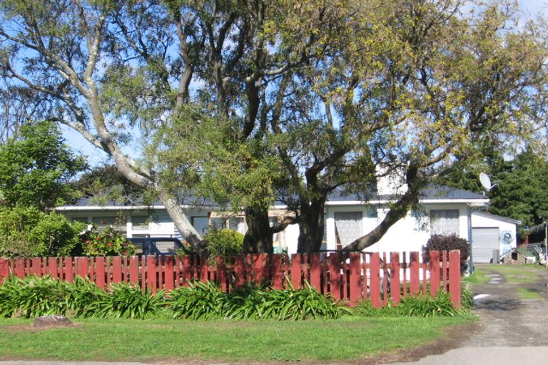 Photo of property in 30 Ludlam Street, Featherston, 5710