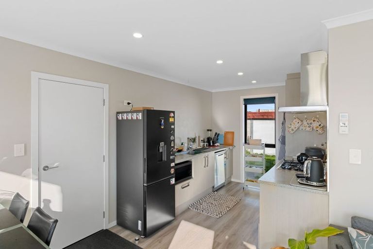 Photo of property in 111 Hinemoa Street, Levin, 5510